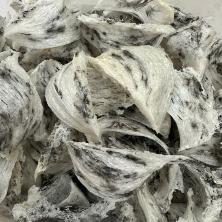 Yến Thô (100gram) Chưa Tinh Chế - Yến Sào Song Kim