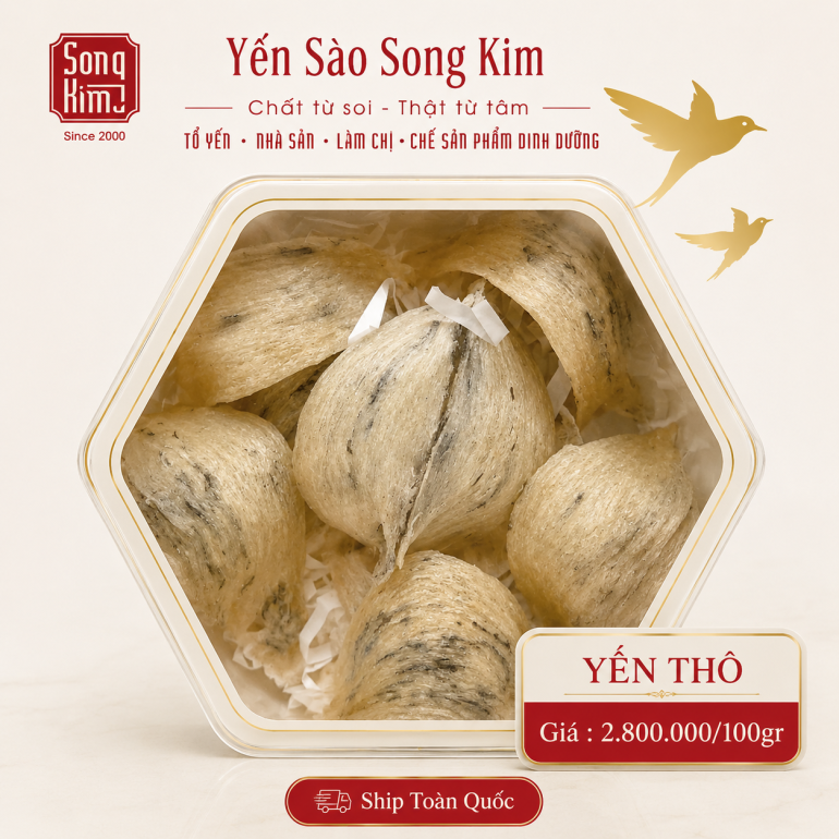 Chân Yến Thô Nguyên Chất (100g) - Yến Sào Song Kim