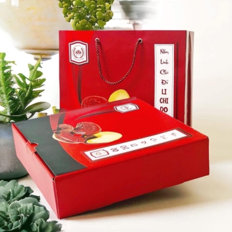 Nấm Linh Chi Nguyên Tai Hàn Quốc Cao Cấp (Hộp 4 Tai)