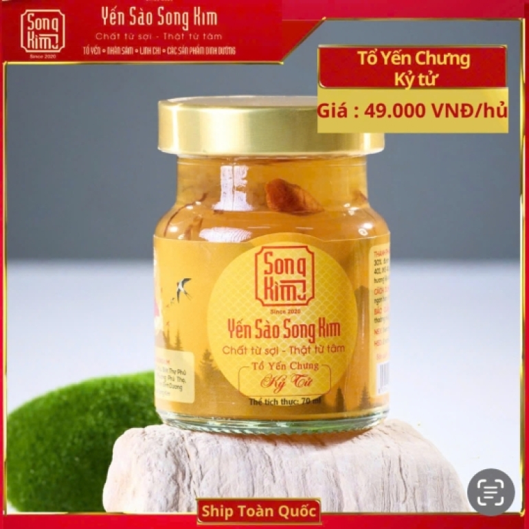 Yến Chưng Kỷ Tử