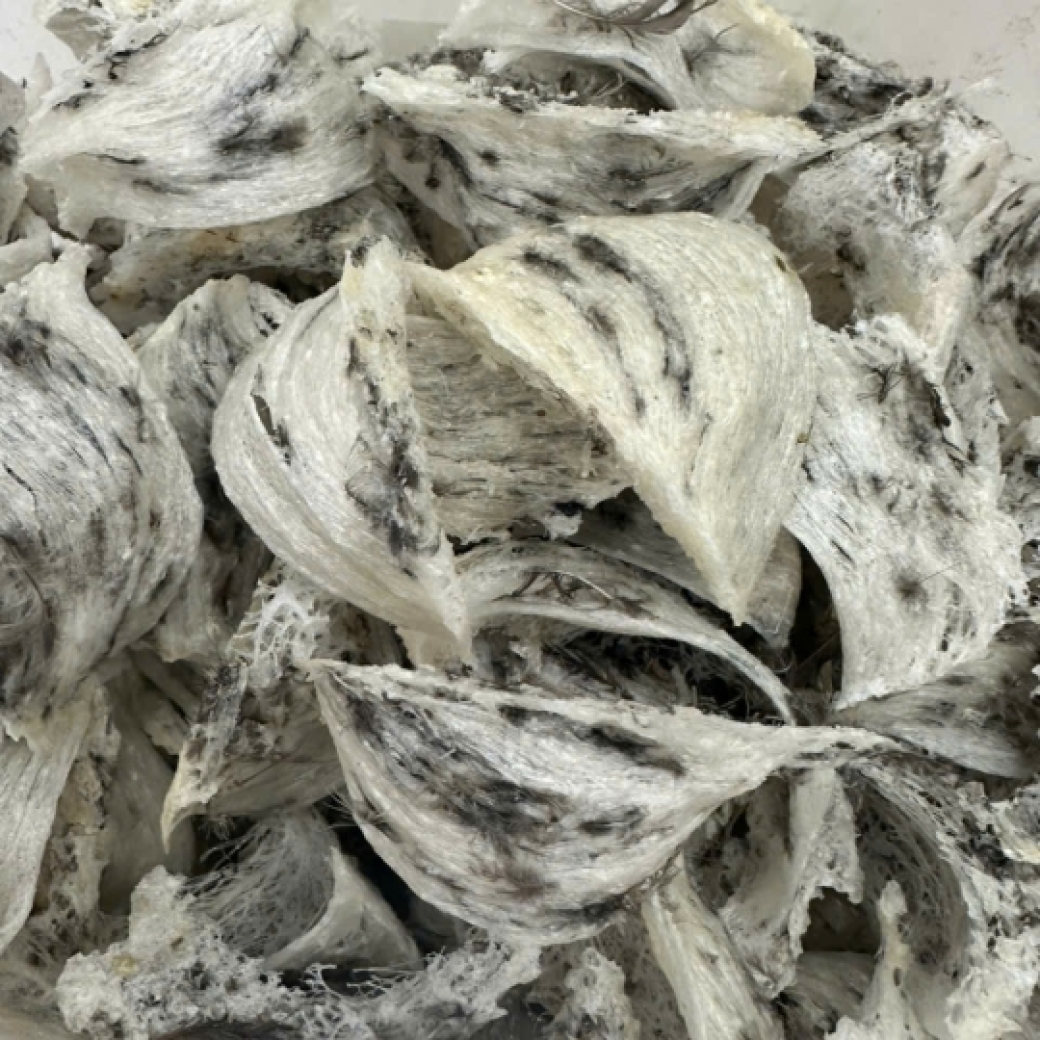 Yến Thô (100gram) Chưa Tinh Chế - Yến Sào Song Kim
