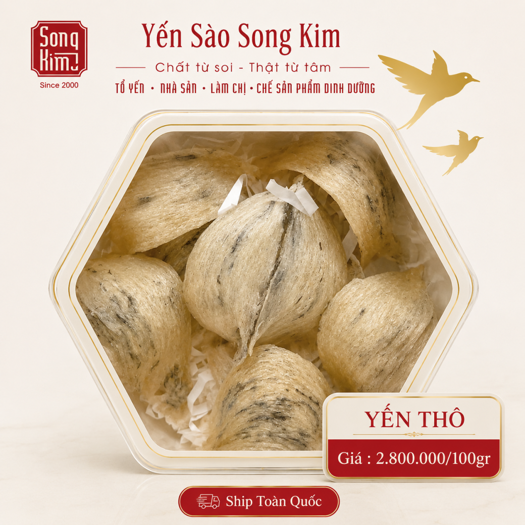 Chân Yến Thô Nguyên Chất (100g) - Yến Sào Song Kim