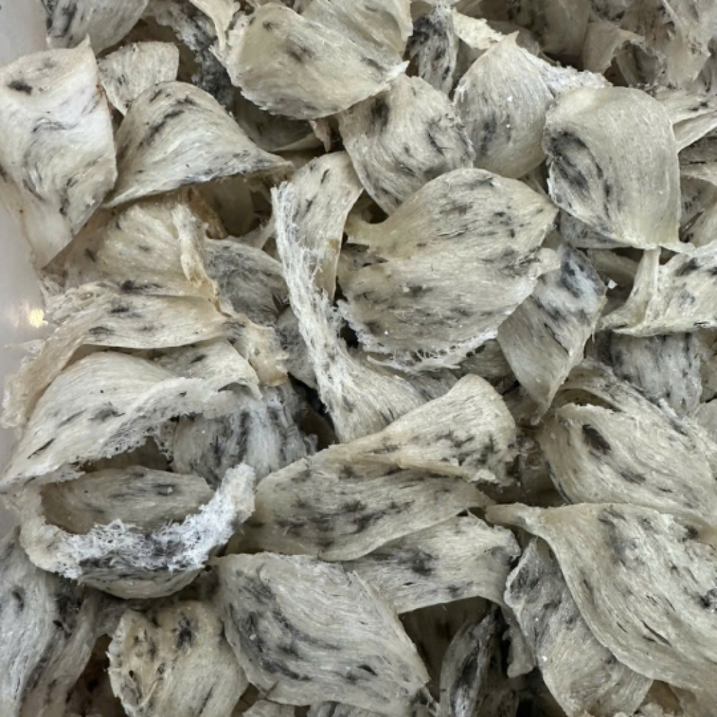 Yến Thô Nguyên Tổ Già Sợi (100g) - Yến Sào Song Kim