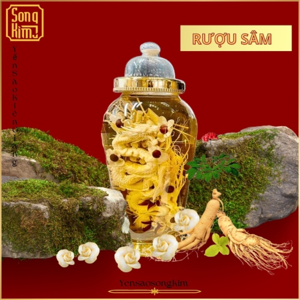 Rượu sâm long phụng - Lớn
